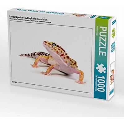 CALVENDO Puzzle · Leopardgecko Eublepharis macularius 1000 Teile · Lege-Größe 64 × 48 cm · Puzzle CALVENDO Puzzle · Leopardgecko Eublepharis macularius 1000 Teile · Lege-Größe 64 × 48 cm · Puzzle