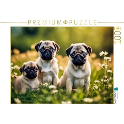 CALVENDO Puzzle Welpen auf Einer Wiese 1000 Teile Lege-Größe 64 x 48 cm Foto-Puzzle für glückliche Stunden CALVENDO Puzzle Welpen auf Einer Wiese 1000 Teile Lege-Größe 64 x 48 cm Foto-Puzzle für glückliche Stunden
