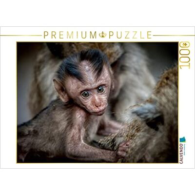 CALVENDO Puzzle · Makake 1000 Teile · Lege-Größe 64 × 48 cm · Puzzle CALVENDO Puzzle · Makake 1000 Teile · Lege-Größe 64 × 48 cm · Puzzle