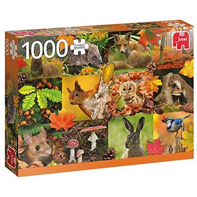 Jumbo 18863 Tiere im Herbst-1000 Teile Squirrel Zubehör, Mehrfarben Jumbo 18863 Tiere im Herbst-1000 Teile Squirrel Zubehör, Mehrfarben