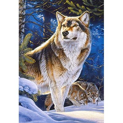 Castorland CSC104062-2 Sentinel, 1000 Teile Puzzle, bunt Castorland CSC104062-2 Sentinel, 1000 Teile Puzzle, bunt