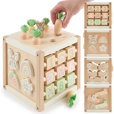 Bieco Motorikwürfel aus Holz FSC® – Montessori Activity Cube ab 12 Monaten – Karotten-Steckspiel (Größen sortieren) & Kugelbahn – Zahlen/Motive, Memory, Schiebelabyrinth – Design Hase Bieco Motorikwürfel aus Holz FSC® – Montessori Activity Cube ab 12 Monaten – Karotten-Steckspiel (Größen sortieren) & Kugelbahn – Zahlen/Motive, Memory, Schiebelabyrinth – Design Hase
