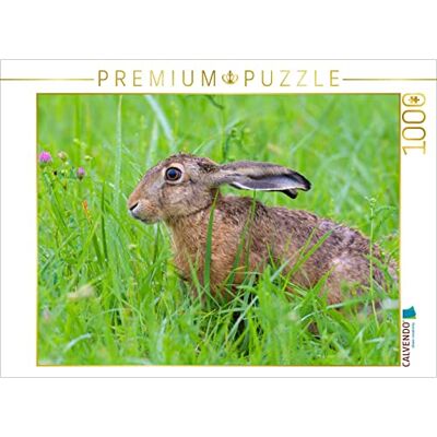 CALVENDO Puzzle Feldhase in Einer Wiese 1000 Teile Puzzle quer Lege-Größe cm Foto-Puzzle für glückliche Stunden CALVENDO Puzzle Feldhase in Einer Wiese 1000 Teile Puzzle quer Lege-Größe cm Foto-Puzzle für glückliche Stunden