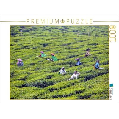 CALVENDO Puzzle Teeplantage, Kerala 1000 Teile Lege-Größe 64 x 48 cm Foto-Puzzle für glückliche Stunden CALVENDO Puzzle Teeplantage, Kerala 1000 Teile Lege-Größe 64 x 48 cm Foto-Puzzle für glückliche Stunden