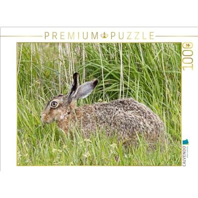 CALVENDO Puzzle Hase auf Einer Wiese (Feldhase) 1000 Teile Lege-Größe 64 x 48 cm Foto-Puzzle für glückliche Stunden CALVENDO Puzzle Hase auf Einer Wiese (Feldhase) 1000 Teile Lege-Größe 64 x 48 cm Foto-Puzzle für glückliche Stunden