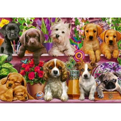 Schmidt Hunde im Regal (Puzzle) Schmidt Hunde im Regal (Puzzle)