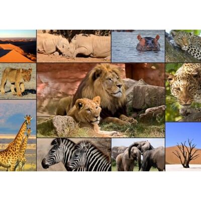 Grafika Puzzle 1500 Teile Collage Wildlife Grafika Puzzle 1500 Teile Collage Wildlife