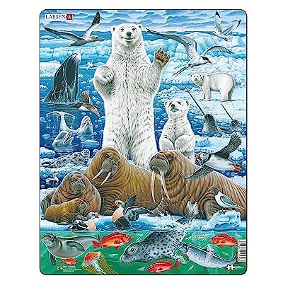 Larsen Puzzles FH42 Kinder Rahmenpuzzle, Eisbären, Walrosse, Arktisches Packeis, 46 Teile, ab 4 Jahre, Lernspielzeug, Konzentration, Natur entdecken Larsen Puzzles FH42 Kinder Rahmenpuzzle, Eisbären, Walrosse, Arktisches Packeis, 46 Teile, ab 4 Jahre, Lernspielzeug, Konzentration, Natur entdecken