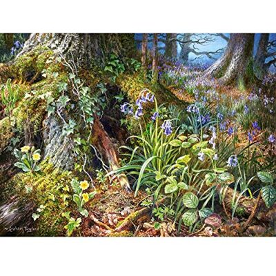 Castorland Puzzle 2000 pièces : De Rusland Woods Castorland Puzzle 2000 pièces : De Rusland Woods