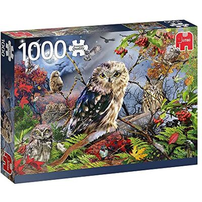Jumbo 18859 Eulen im Mondschein-1000 Teile Owl Zubehör, Mehrfarben Jumbo 18859 Eulen im Mondschein-1000 Teile Owl Zubehör, Mehrfarben