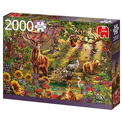 Jumbo 18868 Zubehör, Mehrfarbig Jumbo 18868 Zubehör, Mehrfarbig
