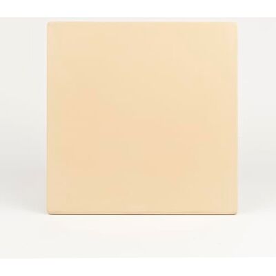 G3 Ferrari R10186PI Cordierit-Pizzastein 32 × 32 cm für Pizzaofen G10186 und G10204, feuerfester Ersatzstein, hitzebeständig bis 500 °C G3 Ferrari R10186PI Cordierit-Pizzastein 32 × 32 cm für Pizzaofen G10186 und G10204, feuerfester Ersatzstein, hitzebeständig bis 500 °C