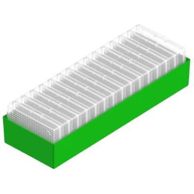 Generic Tragbarer Bastel-Aufbewahrungsbehälter mit 15 kleinen Behältern (Grün) Tragbarer Aufbewahrungsbehälter für Bastelarbeiten, 15-30 Teile, abnehmbare Tabletts, transparent, antihaftbeschichtet, Generic Tragbarer Bastel-Aufbewahrungsbehälter mit 15 kleinen Behältern (Grün) Tragbarer Aufbewahrungsbehälter für Bastelarbeiten, 15-30 Teile, abnehmbare Tabletts, transparent, antihaftbeschichtet,