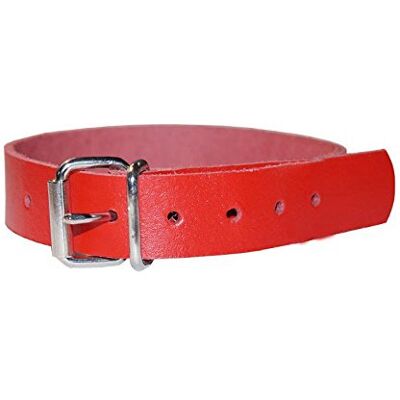 Lederriemen.com Leder Befestigungsriemen mit Rollschnalle, Fixierriemen, Lederriemen, Schnalle, Farbe:rot, Größe:2cm breit x 40cm lang Lederriemen.com Leder Befestigungsriemen mit Rollschnalle, Fixierriemen, Lederriemen, Schnalle, Farbe:rot, Größe:2cm breit x 40cm lang