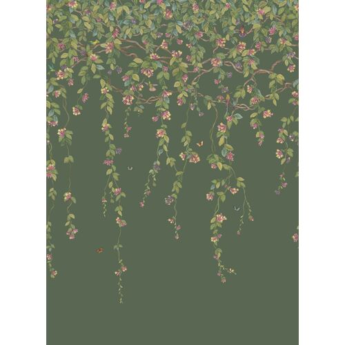 Cole & Son Tapete Hummingbirds Flora - Fuchsia on Racing Green