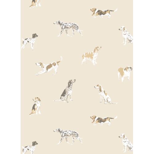 Anna French Tapete Buddy - Neutral