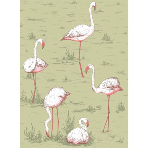 Cole & Son Tapete Flamingos Icons von Cole and Son - Olive