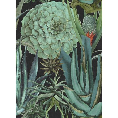 Mindthegap Kakteen Tapete Succulentus von MIND THE GAP - WP20167