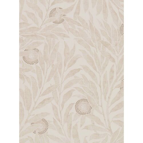 Florale Tapete Orange Tree von Sanderson - Oyster