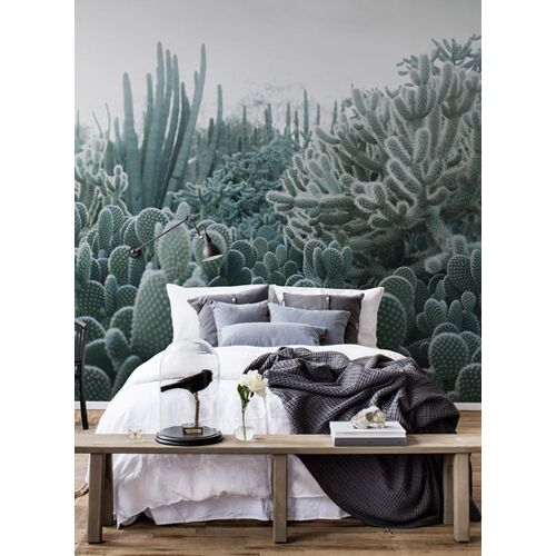 Foto Tapete Cacti von Rebel Walls