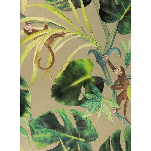 Dschungel Tapete Monkey Business v. Clarke & Clarke - Gilver