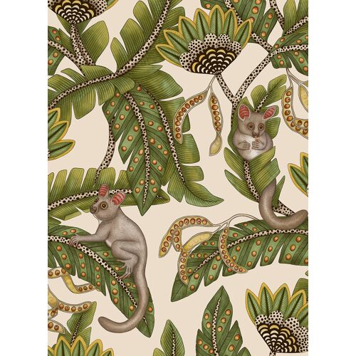 Cole & Son Tapete Bush Baby - 119/7032