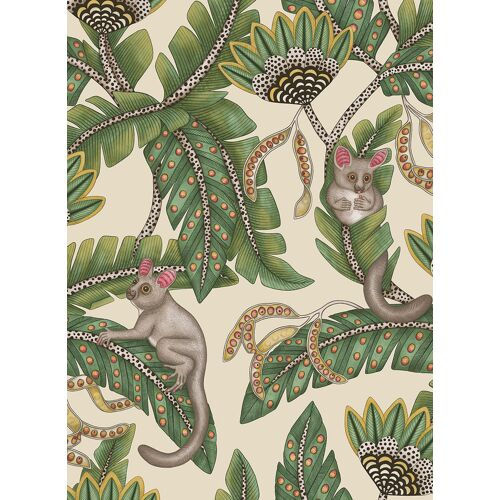 Cole & Son Tapete Bush Baby - 119/7035