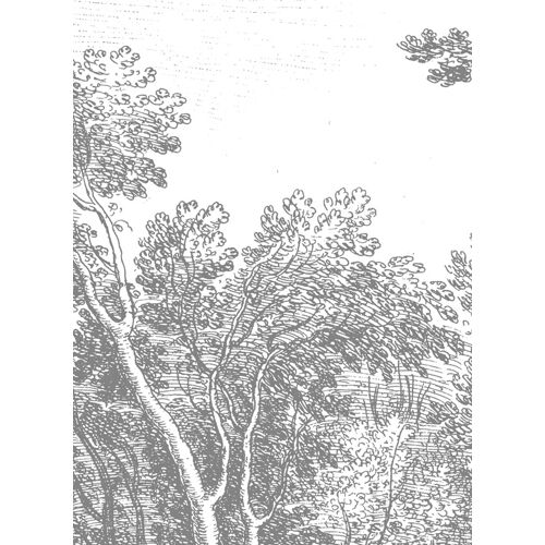 KEK Amsterdam Wandbild Engraved Landscapes 3 von KEK - 1.948m Breite