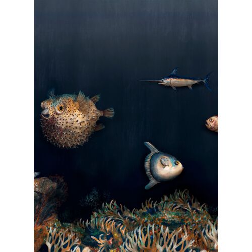 Coordonné Coordonne Wandbild Deep Ocean - Mediterranean