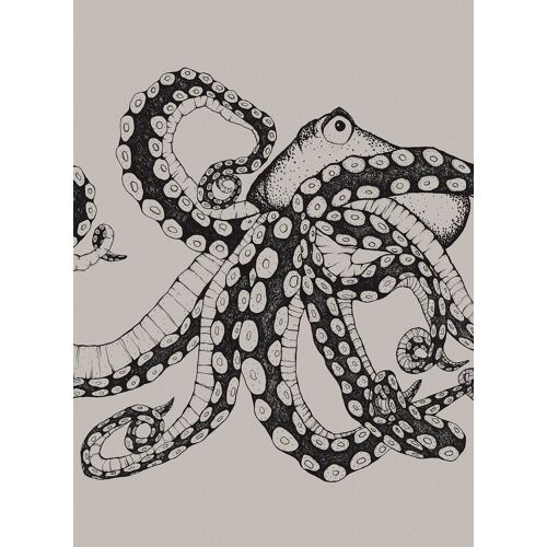 Coordonné Coordonne Wandbild Octopus X-Ray - Ink