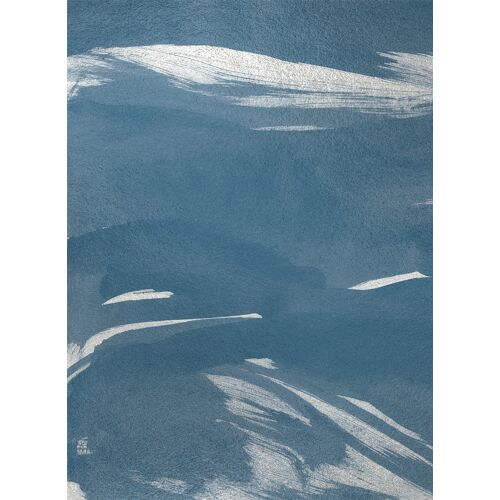 Coordonné Coordonne Wandbild Marine Xray Metallics - Silver