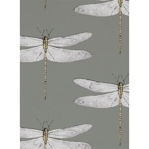 Harlequin Tapete Demoiselle - Graphite/ Almond Harlequin Tapete Demoiselle - Graphite/ Almond