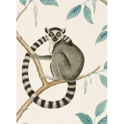 Tapete Ringtailed Lemur von Sanderson - Stone/ Eucalyptus Tapete Ringtailed Lemur von Sanderson - Stone/ Eucalyptus