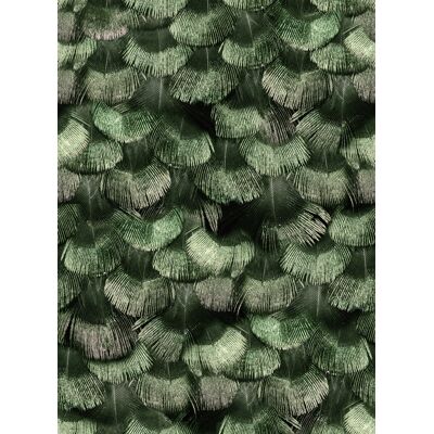 Rebel Walls Tapete Petite Peacock Plumage - Jade Rebel Walls Tapete Petite Peacock Plumage - Jade