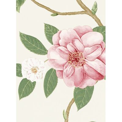 Blumentapete Christabel von Sanderson - Coral/ Ivory Blumentapete Christabel von Sanderson - Coral/ Ivory