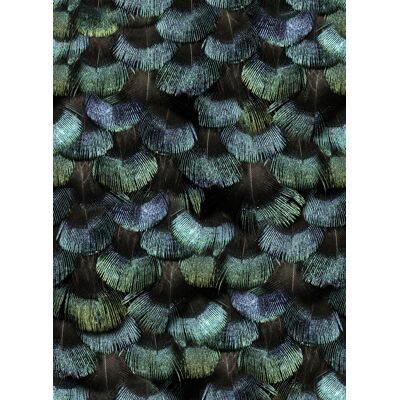 Rebel Walls Tapete Petite Peacock Plumage - Opal Rebel Walls Tapete Petite Peacock Plumage - Opal