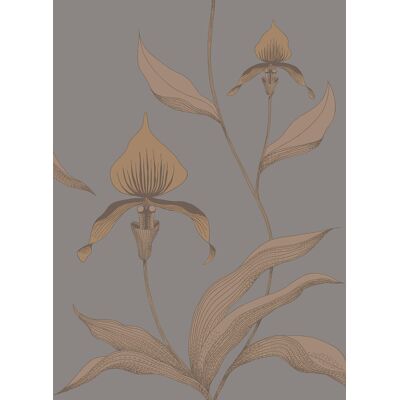 Cole & Son Tapete Orchid - Bronze on Slate Cole & Son Tapete Orchid - Bronze on Slate