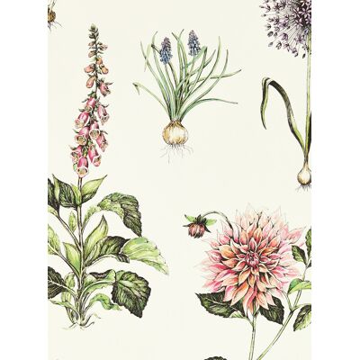 Clarke & Clarke Roseraie Tapete - Blumen Vintage Dekor Clarke & Clarke Roseraie Tapete - Blumen Vintage Dekor