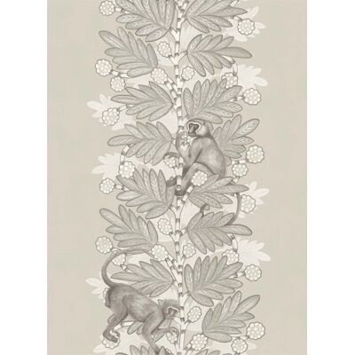 Streifentapete Acacia von Cole & Son - Stone Streifentapete Acacia von Cole & Son - Stone