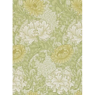 Morris & Co. Tapete Chrysanthemum - Blass Olive - Tapete Morris & Co. Tapete Chrysanthemum - Blass Olive - Tapete