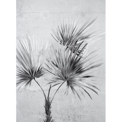 Palmen Wandbild Palm von Eijffinger - 391567 Greyscale Palmen Wandbild Palm von Eijffinger - 391567 Greyscale