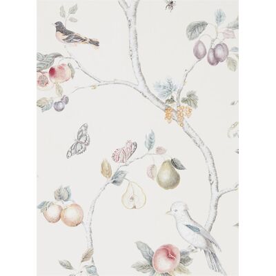 Tapete Fruit Aviary von Sanderson - Cream/ Multi Tapete Fruit Aviary von Sanderson - Cream/ Multi