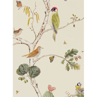 Tapete Woodland Chorus von Sanderson - Cream/ Multi Tapete Woodland Chorus von Sanderson - Cream/ Multi