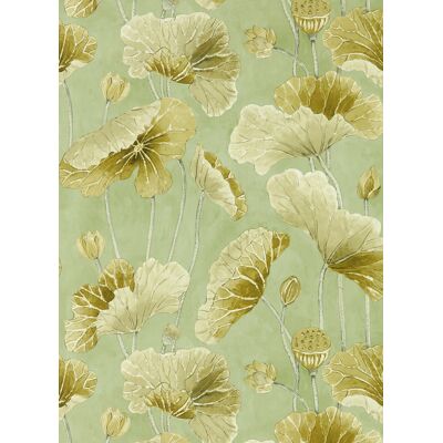 Sanderson Tapete Lotus Leaf - Oriental Green/ Olive Sanderson Tapete Lotus Leaf - Oriental Green/ Olive