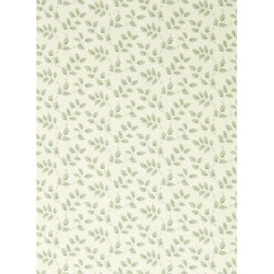 Sanderson Tapete Tomato Leaf - Willow Sanderson Tapete Tomato Leaf - Willow