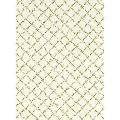 Harlequin Tapete Daisy Trellis - Emerald/ Pearl Harlequin Tapete Daisy Trellis - Emerald/ Pearl