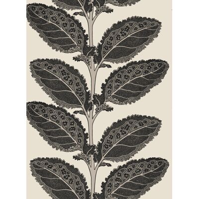 Thibaut Tapete Lacinato - Basalt Black Thibaut Tapete Lacinato - Basalt Black