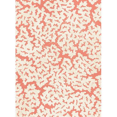 Thibaut Tapete Maldives - Coral Thibaut Tapete Maldives - Coral