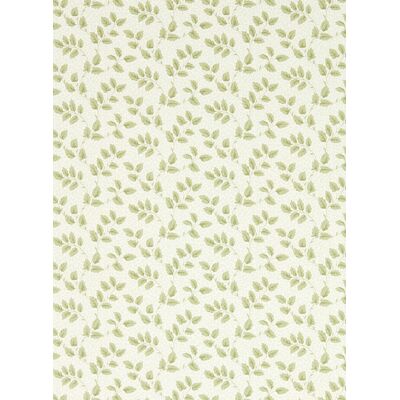 Sanderson Tapete Tomato Leaf - Leaf Green Sanderson Tapete Tomato Leaf - Leaf Green