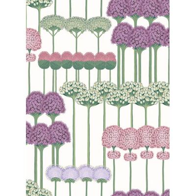 Cole & Son Stauden Tapete Allium von Cole and Son - Purple & White Cole & Son Stauden Tapete Allium von Cole and Son - Purple & White